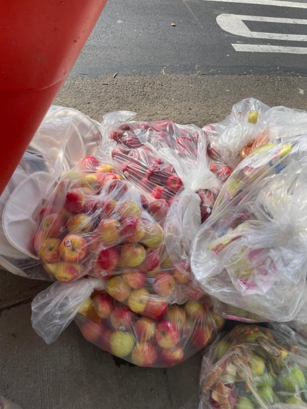 Huge garbage bags filled with apples lined up on the curb outside a school