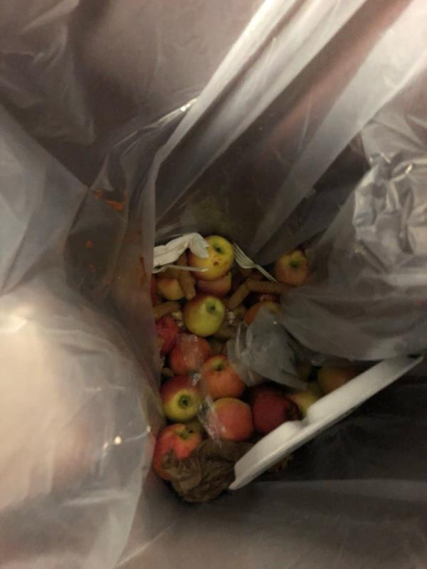 Discarded bag of apples at a District 17 school in Brooklyn, seen among other trash items