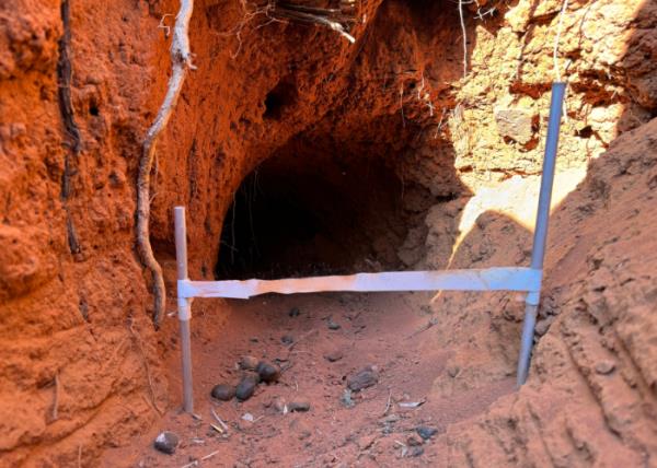 A piece of tape stretches across the entrance of a Northern Hairy-nosed Wombat burrow as part of a survey to collect and analyse hair samples. 