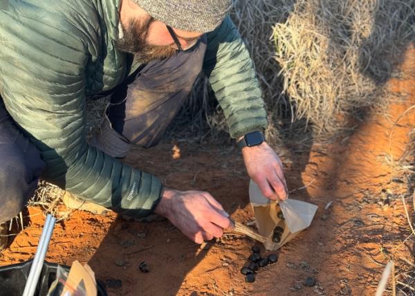 Wombat scat is collected as part of the genetic survey at RUNR. 